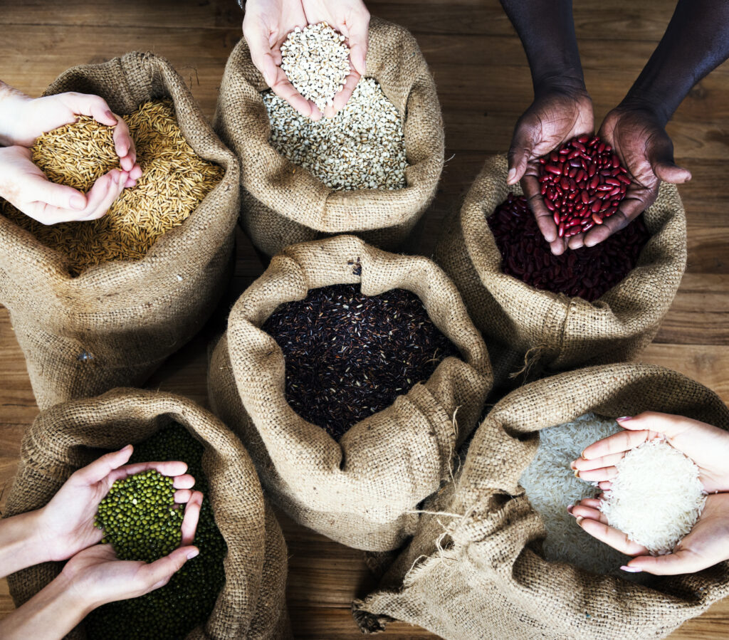 group of handful of crops seeds in aerial view